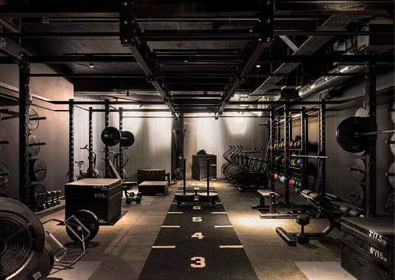 Luxe Fitness I & II